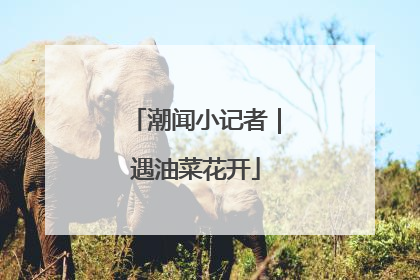 潮闻小记者｜遇油菜花开