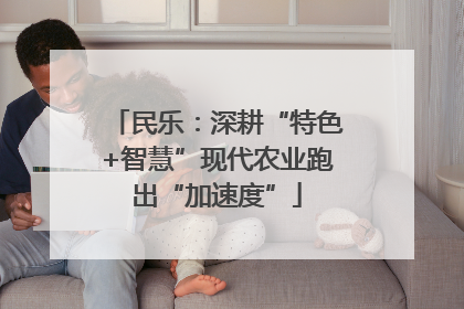 民乐：深耕“特色+智慧”现代农业跑出“加速度”