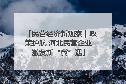 民营经济新观察｜政策护航 河北民营企业激发新“冀”遇