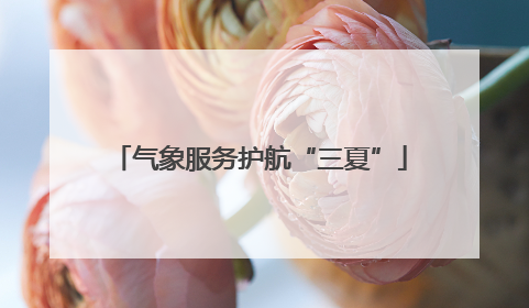 气象服务护航“三夏”