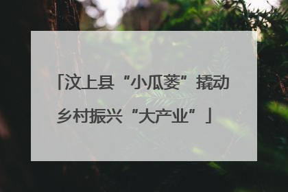 汶上县“小瓜蒌”撬动乡村振兴“大产业”