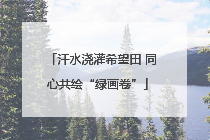 汗水浇灌希望田 同心共绘“绿画卷”