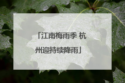 江南梅雨季 杭州迎持续降雨