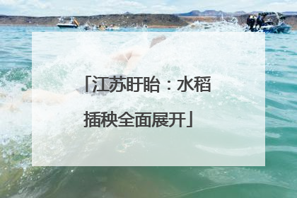 江苏盱眙：水稻插秧全面展开
