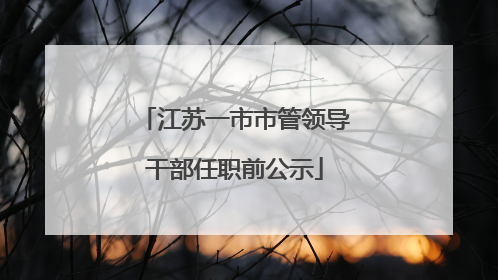 江苏一市市管领导干部任职前公示