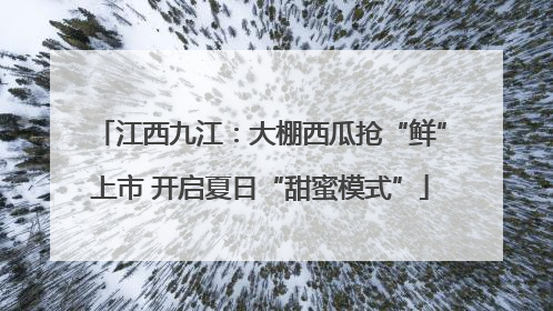 江西九江：大棚西瓜抢“鲜”上市 开启夏日“甜蜜模式”