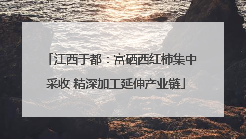 江西于都：富硒西红柿集中采收 精深加工延伸产业链