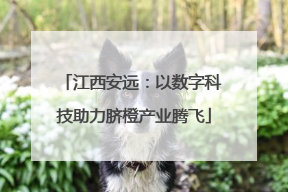 江西安远：以数字科技助力脐橙产业腾飞