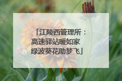 江陵西管理所：高速驿站暖如家 绿波葵花助梦飞
