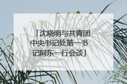 沈晓明与共青团中央书记处第一书记阿东一行会谈