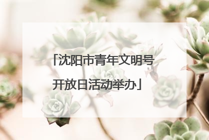 沈阳市青年文明号开放日活动举办