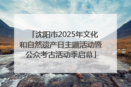 沈阳市2025年文化和自然遗产日主题活动暨公众考古活动季启幕