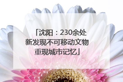 沈阳：230余处新发现不可移动文物重现城市记忆