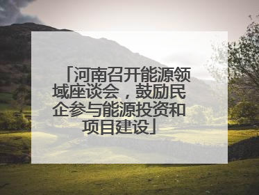 河南召开能源领域座谈会，鼓励民企参与能源投资和项目建设