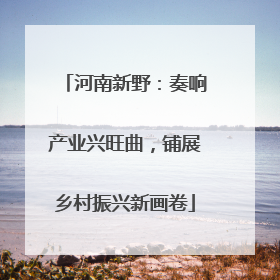 河南新野：奏响产业兴旺曲，铺展乡村振兴新画卷