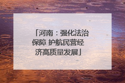 河南：强化法治保障 护航民营经济高质量发展