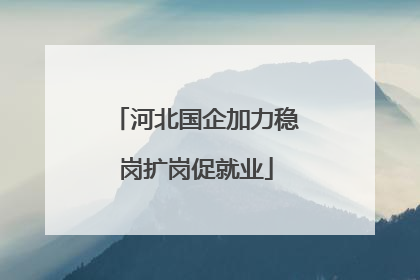河北国企加力稳岗扩岗促就业