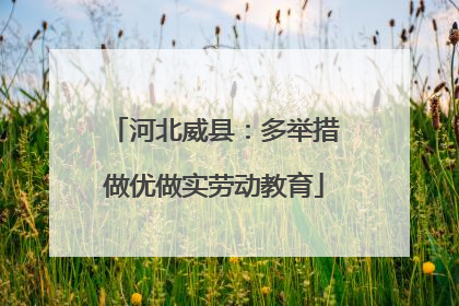 河北威县：多举措做优做实劳动教育