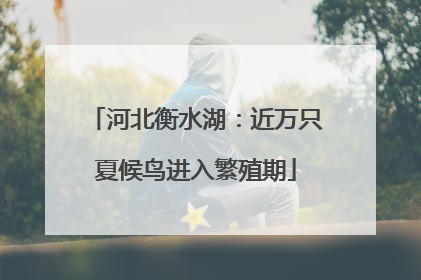 河北衡水湖：近万只夏候鸟进入繁殖期
