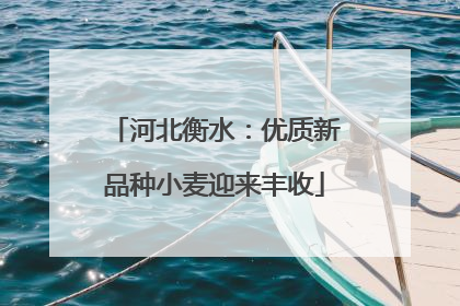 河北衡水：优质新品种小麦迎来丰收