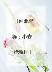 河北隆尧：小麦抢收忙