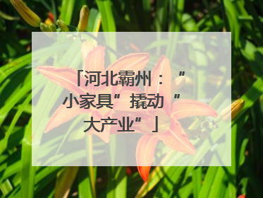 河北霸州：“小家具”撬动“大产业”