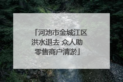 河池市金城江区洪水退去 众人助零售商户清淤