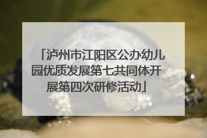 泸州市江阳区公办幼儿园优质发展第七共同体开展第四次研修活动