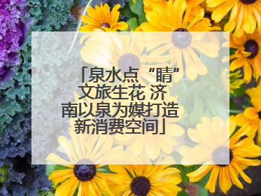 泉水点“睛” 文旅生花 济南以泉为媒打造新消费空间