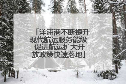 洋浦港不断提升现代航运服务能级 促进航运扩大开放政策快速落地