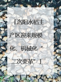 洛阳水稻主产区迎来规模化、机械化“二次变革”