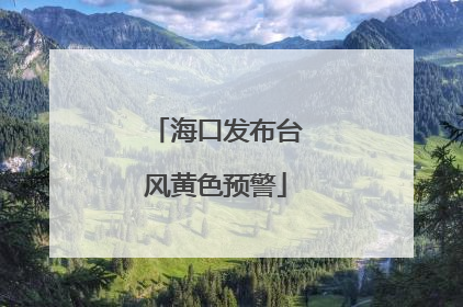 海口发布台风黄色预警