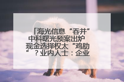海光信息“吞并”中科曙光预案出炉 现金选择权太“鸡肋”？业内人士：企业不想大量现金流出