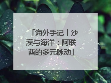 海外手记丨沙漠与海洋：阿联酋的多元脉动