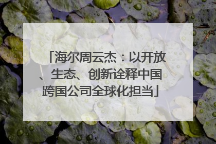 海尔周云杰：以开放、生态、创新诠释中国跨国公司全球化担当
