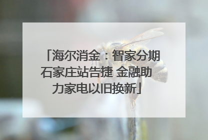 海尔消金：智家分期石家庄站告捷 金融助力家电以旧换新