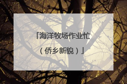 海洋牧场作业忙（侨乡新貌）