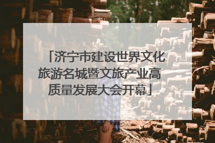 济宁市建设世界文化旅游名城暨文旅产业高质量发展大会开幕