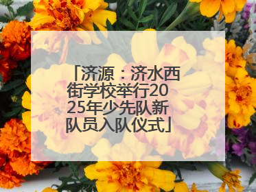 济源：济水西街学校举行2025年少先队新队员入队仪式