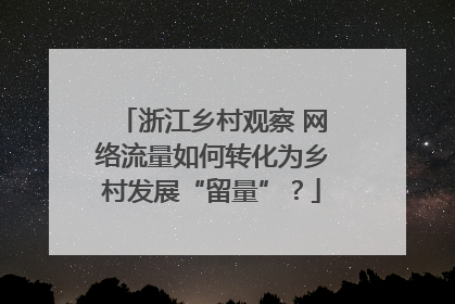 浙江乡村观察 网络流量如何转化为乡村发展“留量”？