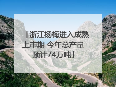 浙江杨梅进入成熟上市期 今年总产量预计74万吨