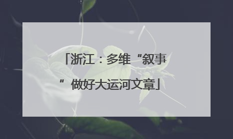 浙江：多维“叙事”做好大运河文章