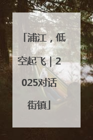 浦江，低空起飞｜2025对话街镇