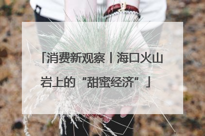 消费新观察丨海口火山岩上的“甜蜜经济”