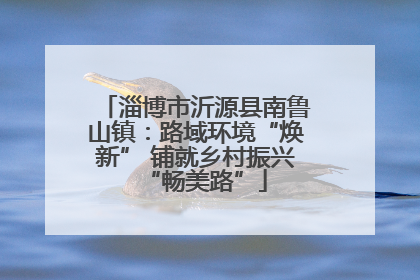 淄博市沂源县南鲁山镇：路域环境“焕新” 铺就乡村振兴“畅美路”