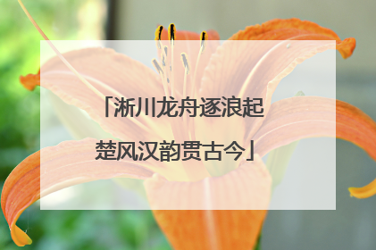 淅川龙舟逐浪起 楚风汉韵贯古今