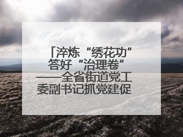 淬炼“绣花功” 答好“治理卷”——全省街道党工委副书记抓党建促基层治理培训示范班侧记