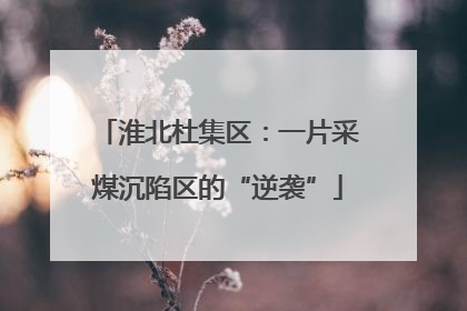 淮北杜集区：一片采煤沉陷区的“逆袭”