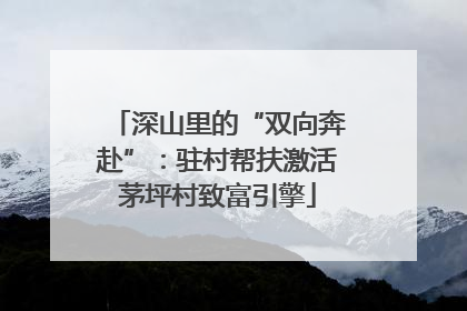 深山里的“双向奔赴”：驻村帮扶激活茅坪村致富引擎