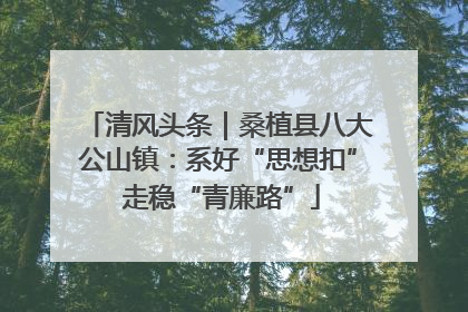 清风头条｜桑植县八大公山镇：系好“思想扣” 走稳“青廉路”